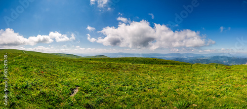 hillside panorama in mountains in summer