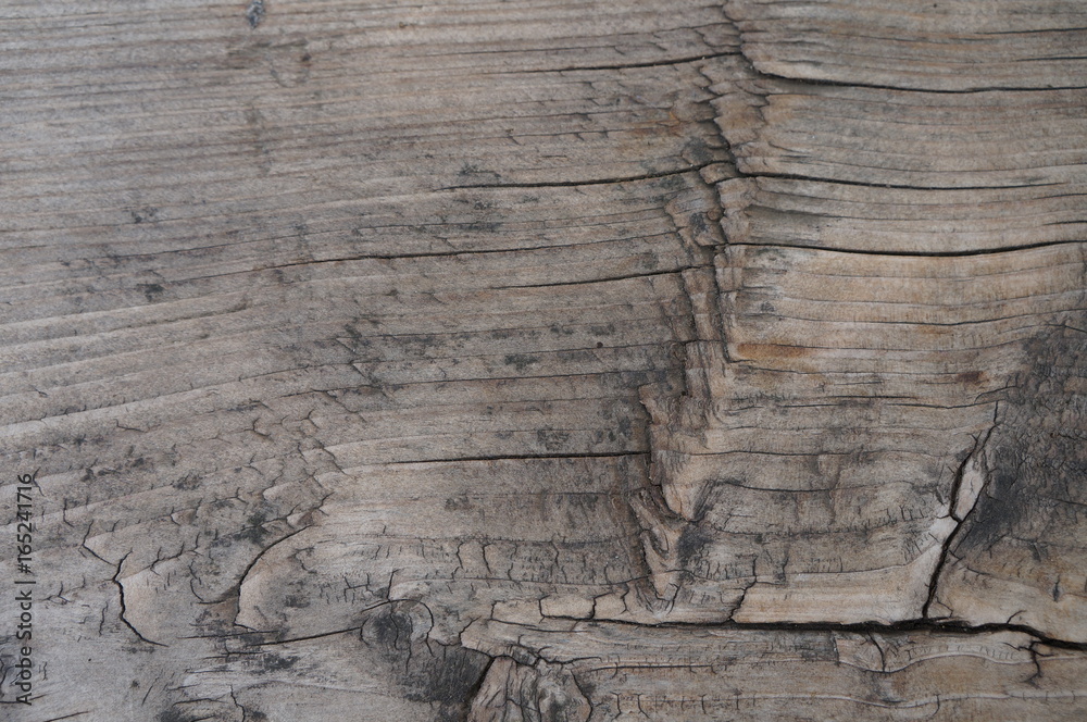 custom made wallpaper toronto digitalHolz