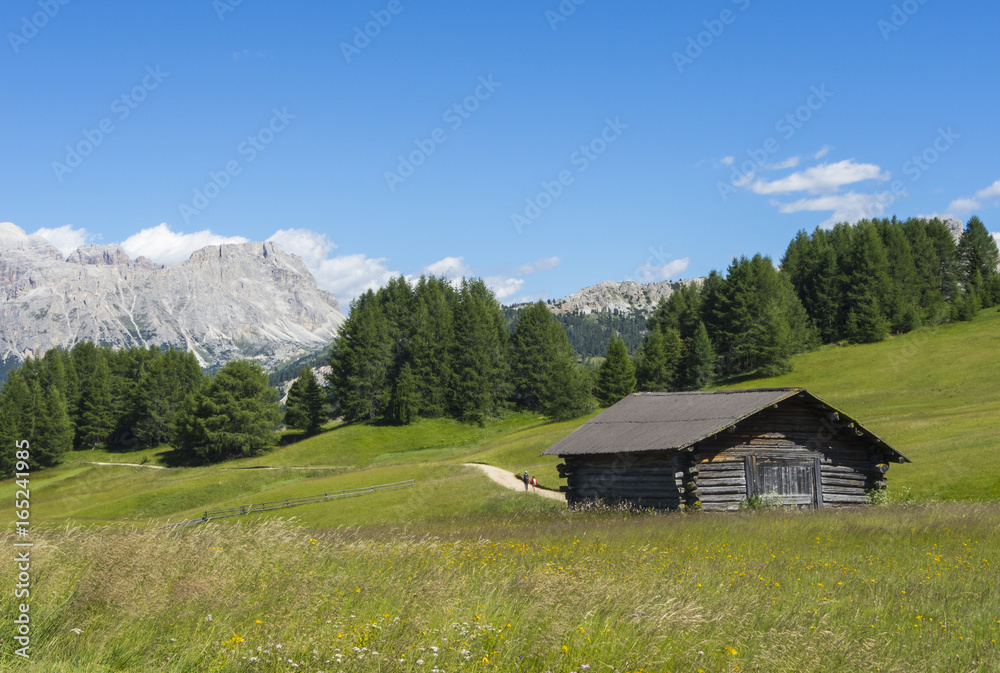 Barns and huts of the Dolomites, Val Badia, Sud Tirol, Italy