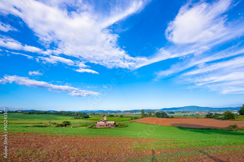 Rural landscape where the farmhouse of Anseong Farmland is seen in summer green.