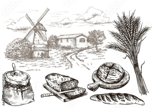 windmill and fresh bakery products. homemade baking. bakery products. vector sketch on white