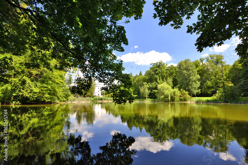 Beautiful Landscape Of Pond