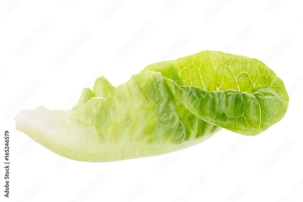 Fresh green cos lettuce Isolated on White Background Fresh green cos lettuce Isolated on White Background