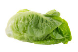 Fresh green cos lettuce Isolated on White Background
