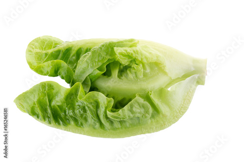 Fresh green cos lettuce Isolated on White Background
