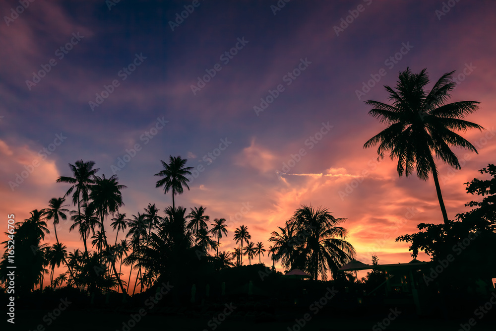 Silhouette of coconut trees against dramatic sunset sky background.