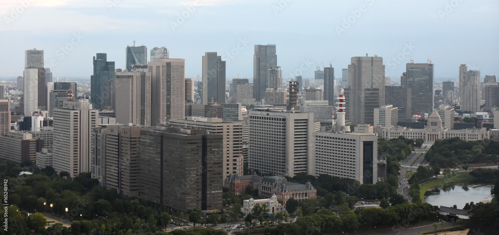 日本の東京都市風景（霞が関の官庁街やビル群を望む）