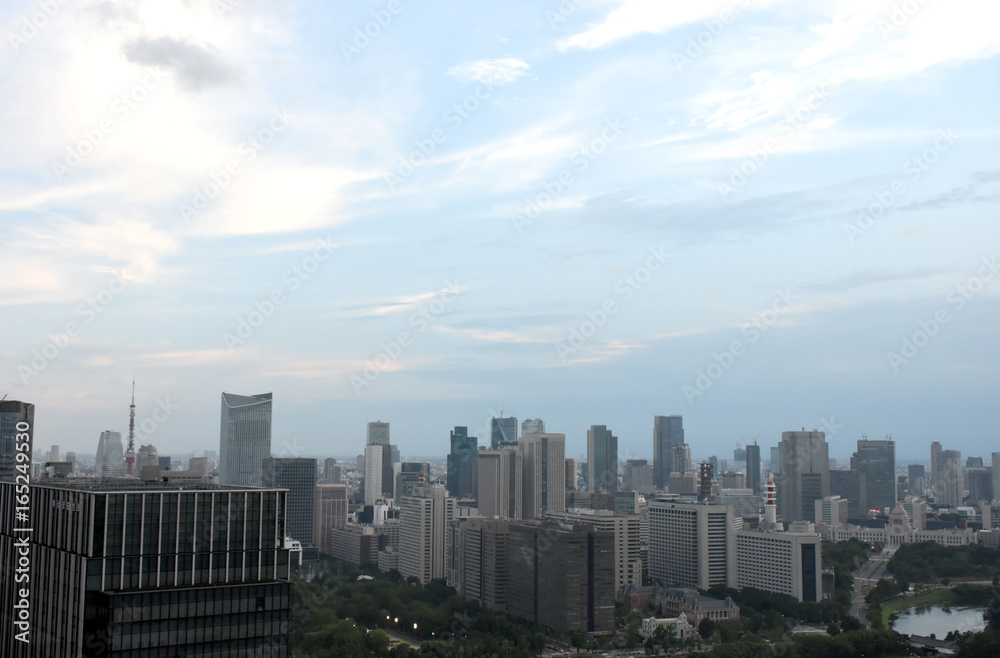 空と雲・日本の東京都市風景（霞が関の官庁街やビル群などを望む）