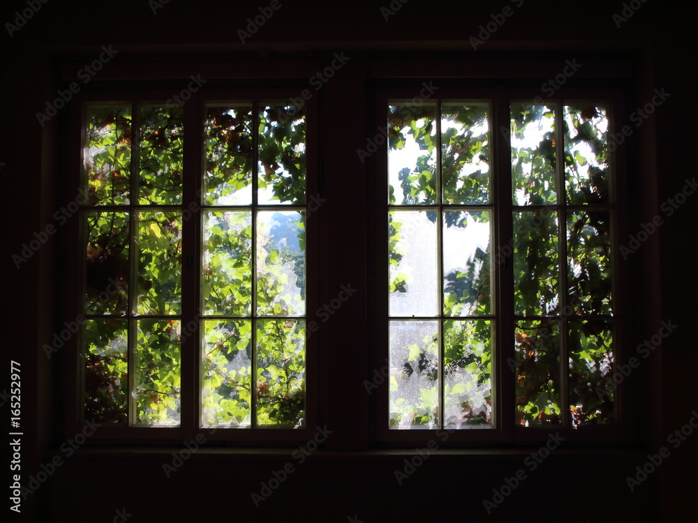 Window with Bright Sunlight and Weed in Backlight Window with Bright Sunlight and Weed in Backlight