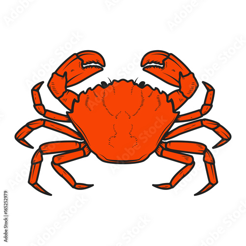 Crab icon isolated on white background. Design elements for logo, label, emblem, sign. Vector illustration