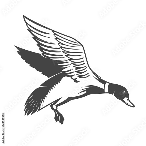 Wild duck icon isolated on white background. Design elements for logo, label, emblem, sign. Vector illustration