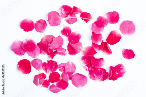 Rose flowers petals on the white background.
