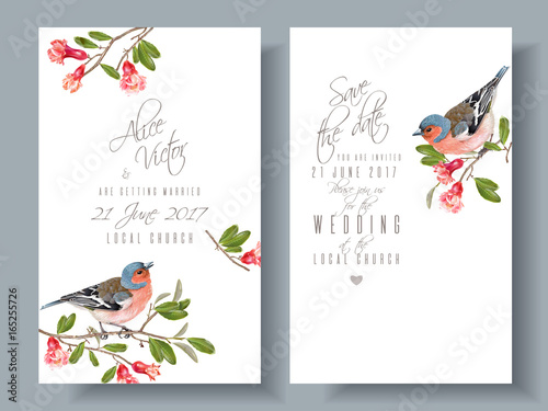 Finch pomegranate branch cards