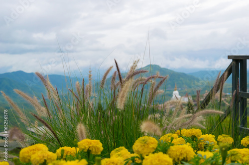 View nature mountain sky and fog phu tubberk thailand photo