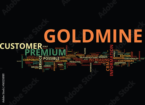 THE NEW GOLDMINE PREMIUM Text Background Word Cloud Concept
