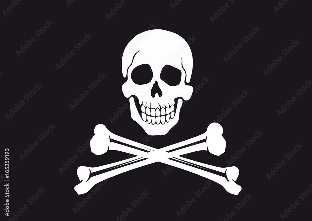 Jolly Roger Flag Jolly Roger Flag