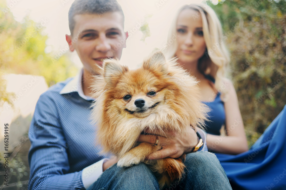 the guy and the girl at a romantic meeting, walk with dog in the summer garden. Spitz-dog smile the guy and the girl at a romantic meeting, walk with dog in the summer garden. Spitz-dog smile