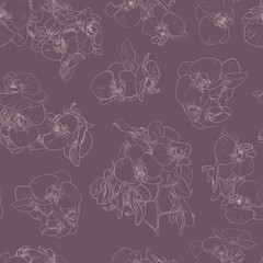 Wandcirkels Orchidee patronen Orchideeën in fijne lijnillustratie  © DafnaDar