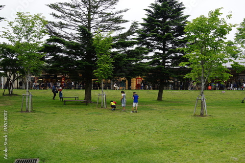 芝生 公園 広場 遊ぶ 子供達