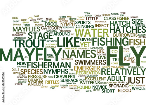 THE MAYFLY NYPMH Text Background Word Cloud Concept