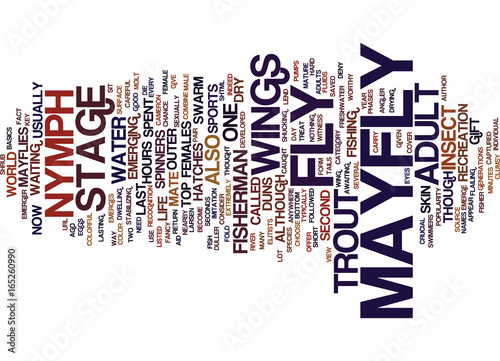 THE MAYFLY ADULT Text Background Word Cloud Concept