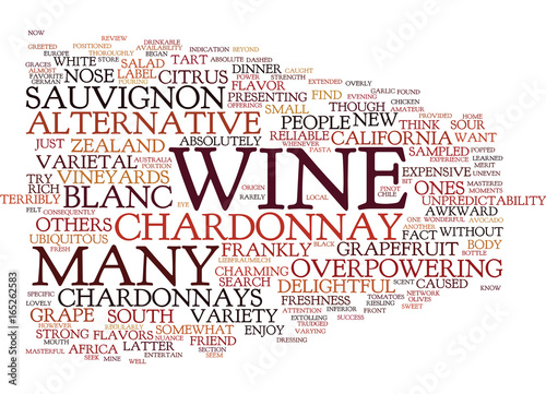 THE JOYS OF SAUVIGNON BLANC Text Background Word Cloud Concept