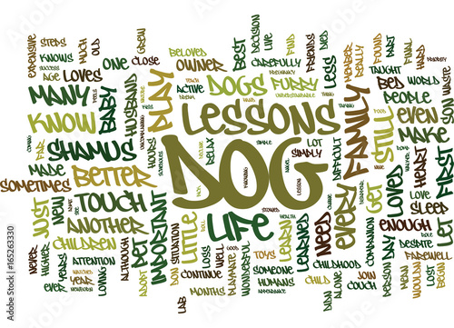 THE IMPORTANT LIFE LESSONS I LEARNED FROM MY DOG Text Background Word Cloud Concept