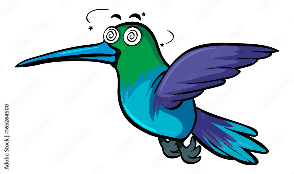 Hummingbird with dizzy face Hummingbird with dizzy face