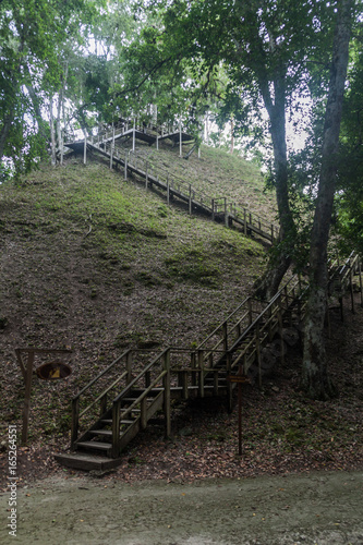 Stairs leading the the ruins covered by the thick jungle at the archaeological site Yaxha  Guatemala