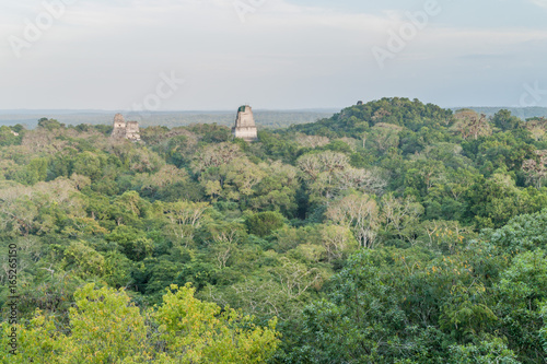 Temples at the archaelogical site Tikal, Guatemala
