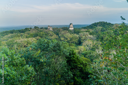 Temples at the archaelogical site Tikal, Guatemala