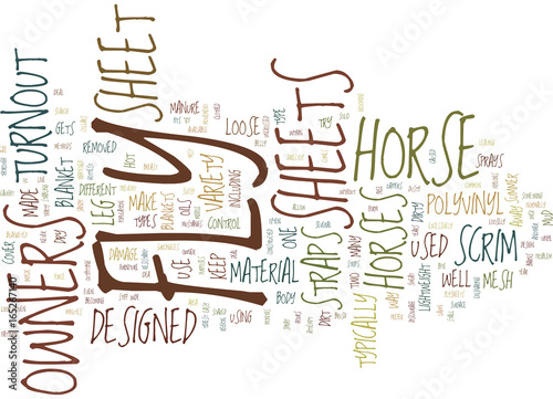 THE DIFFERENT TYPES OF FLY SHEETS Text Background Word Cloud Concept