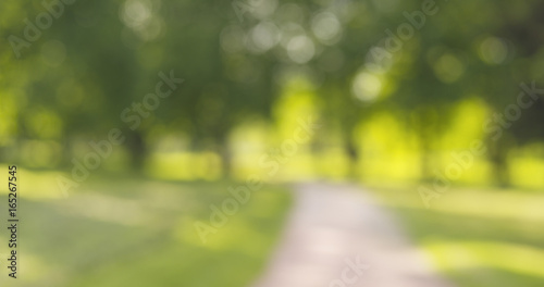 real lens blur of trees in sunny day