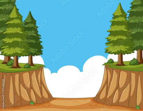 Scene with pine trees on the cliff