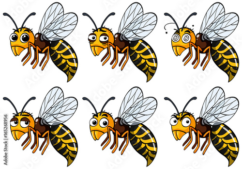 Wasps with different emotions © brgfx
