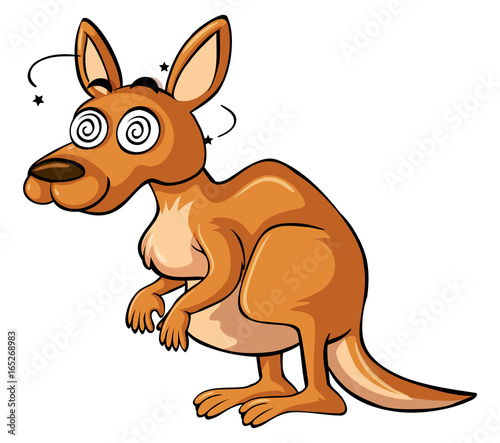 Kangaroo with dizzy face
