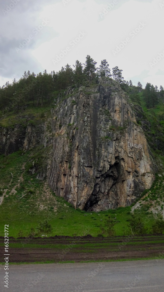 Landscape of the Altai Mountains, Siberia, the rapid flow of the mountain river Katun, the precipice and pine trees Landscape of the Altai Mountains, Siberia, the rapid flow of the mountain river Katun, the precipice and pine trees