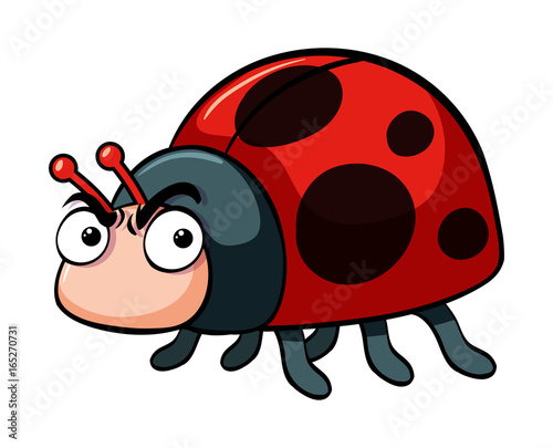 Angry ladybug on white background