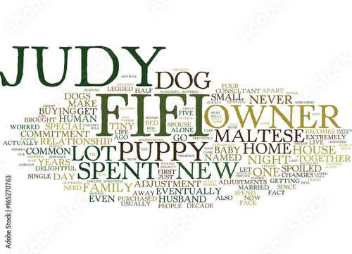 THE COMMITMENT TO A NEW PUPPY Text Background Word Cloud Concept