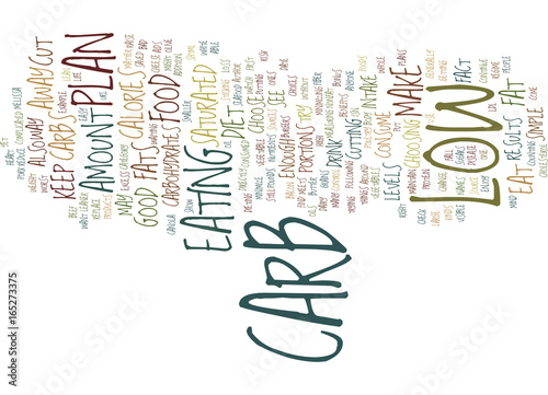 THE BEST WAY TO USE LOW CARB CONTROL Text Background Word Cloud Concept