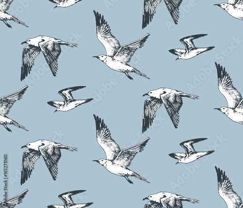 hand drawn seamless pattern with seagull flying and sitting sea birds. beach vintage theme