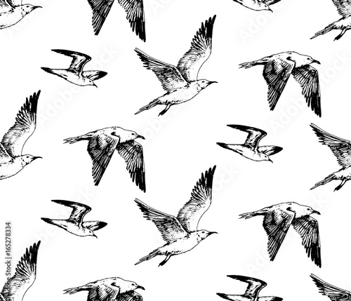 hand drawn seamless pattern with seagull flying and sitting sea birds. beach vintage theme