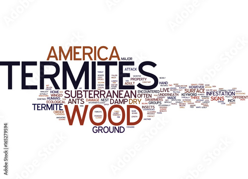 TERMITES IN AMERICA Text Background Word Cloud Concept