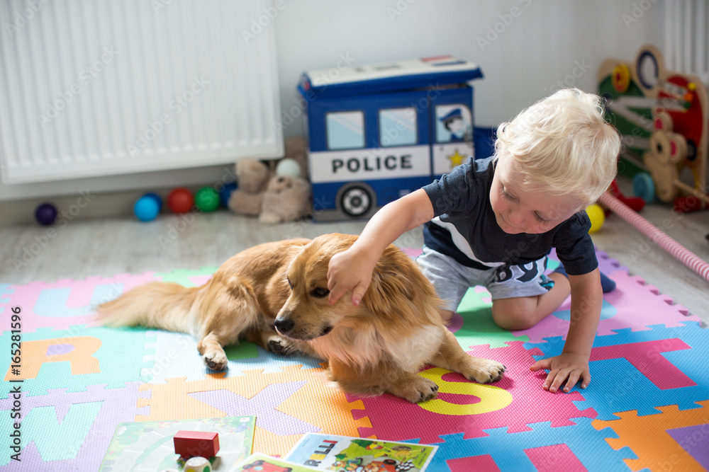 Kind nervt den Hund StockFoto Adobe Stock Kind nervt den Hund StockFoto Adobe Stock