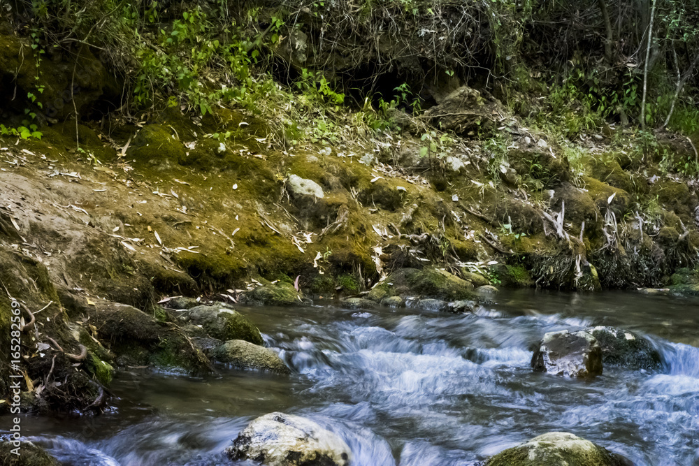 Landscape of a river with water running silky, rocks and trees Landscape of a river with water running silky, rocks and trees