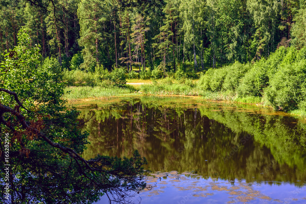 Lake in the forest
