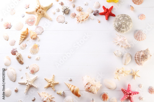 Seashells frame on white wooden table