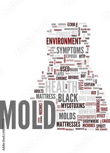 MOLD AND ILLNESS Text Background Word Cloud Concept