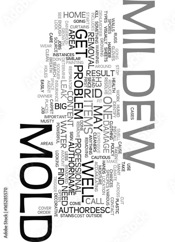 MOLD AND MILDEW REMOVAL Text Background Word Cloud Concept