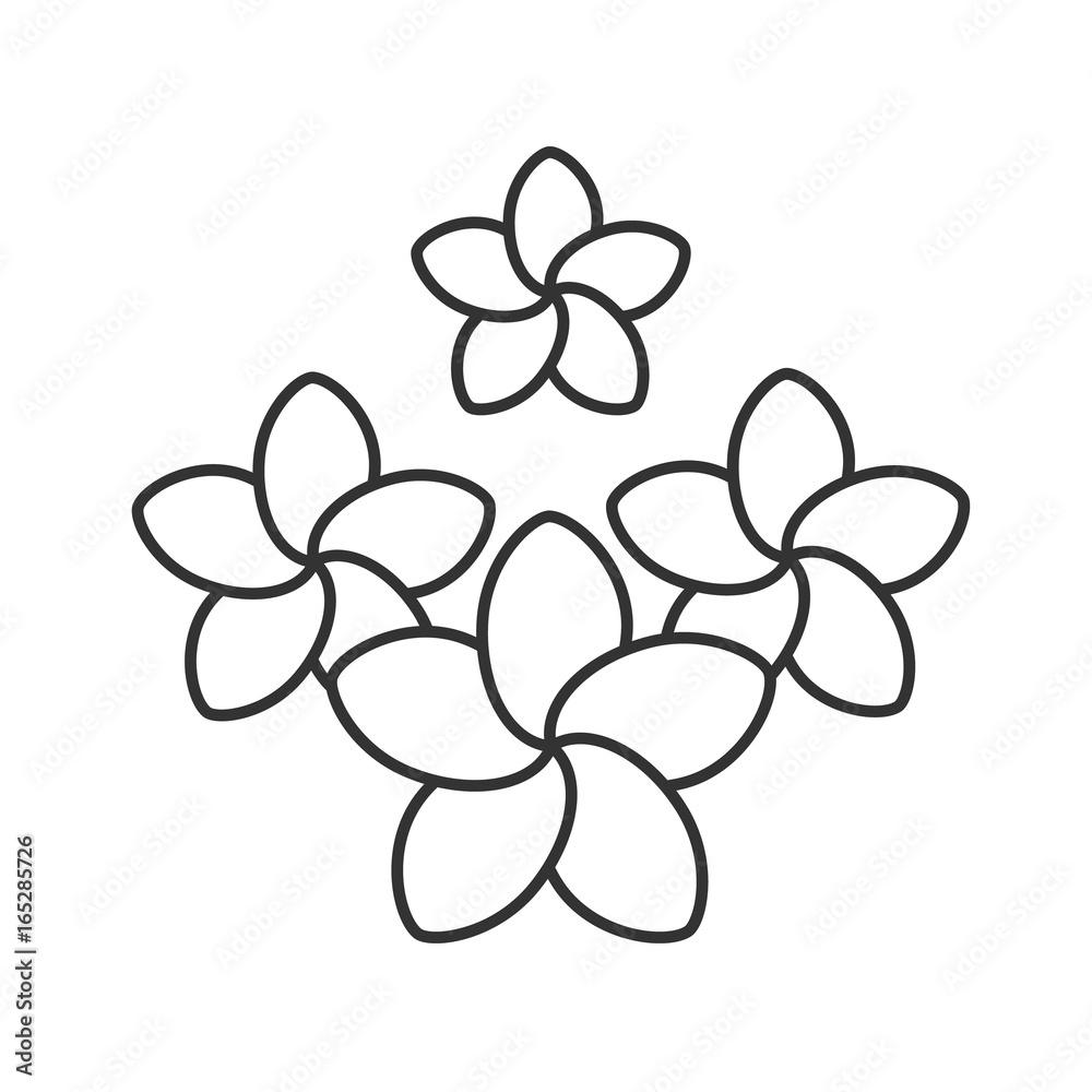 Spa salon plumeria flowers linear icon Spa salon plumeria flowers linear icon